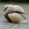 Finał X edycji konkursu fotograficznego Zwierzęta duże i małe